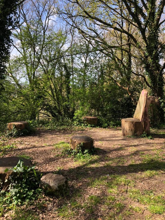 Appartement Au Calme Nature Et Centre Ville Quimper Luaran gambar